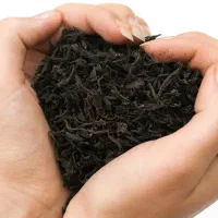 چای و برنج اعلای گیلان با ارسال مستقیم