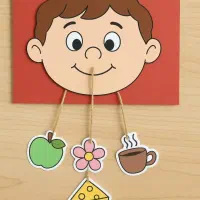 به چند همکار خانم برای فعالیت مجازی نیازمندیم