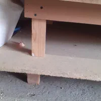 فروش تخت خوش خواب دو نفره کاملا سالم|تخت و سرویس خواب|تنکابن, |دیوار