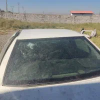 دنا تصادفی خاص
