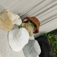 کیف