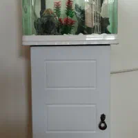 اکواریوم دلساk390