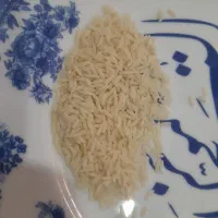 برنج هاشمی اصل اعلا الک سورت شوده