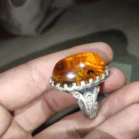 انگشر کهربا
