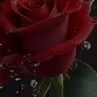 مربی کودکان استثنایی