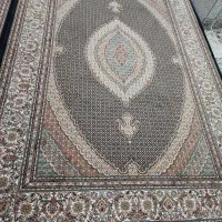 فرش|فرش|سروآباد, |دیوار