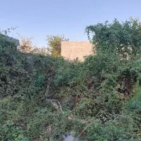 زمین خوش قیمت|فروش زمین و ملک کلنگی|رشت, حومه رشت|دیوار