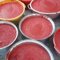 آبگیری گوجه وانگور در محل شما سیار|خدمات پیشه و مهارت|همدان, |دیوار