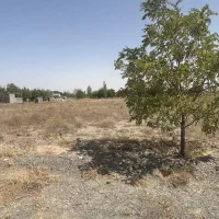 زمین باغی چاهشک باغستان ثامن - فروش ویژه و فوری