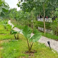 آرامش رو در قلب طبیعت تجربه کنید