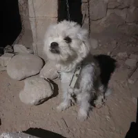 بازی و سرگرمی