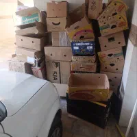 کارتن موز