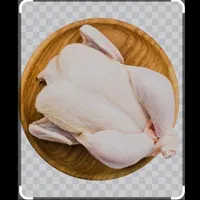 مرغ کشتار روز 98