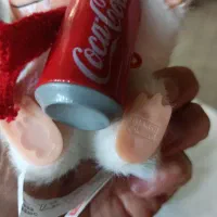 لبوبو ، استیج ، کرای بی بی ، هاچی پو پو|اسباببازی|میاندوآب, |دیوار