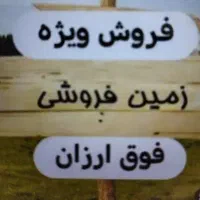 زمین-به-مساحت-250-متر