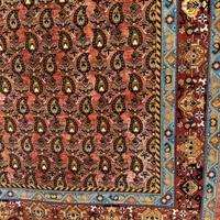 فرش کلکسیون اشرافی کد ۵۷۰۰ صادراتی ۱۲ متری|فرش|شیراز, شهرک سراج‎|دیوار