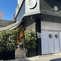 نیروی ظرفشور و خدمات