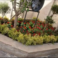 خدمات باغبانی باغچه کاری هرس کاری تعویض خاک گلدان