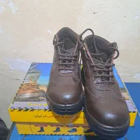 کفش ایمنی بهشتیان|کیف، کفش، کمربند|بندرعباس, |دیوار