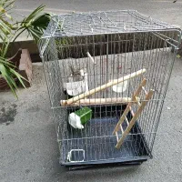 قفس طوطی سانان و غیره|لوازم جانبی حیوانات|تهران, امام زاده عبدالله|دیوار