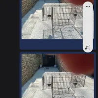 قفس. کاسکویی|لوازم جانبی حیوانات|ارومیه, |دیوار