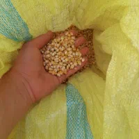 ذرت|حیوانات مزرعه|محمدشهر, یزدیها|دیوار