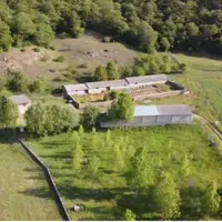 فروش مزرعه وتاسیسات دامپروری درمنطقه ۴دانگه ساری|فروش دفتر صنعتی، کشاورزی، تجاری|کیاسر, |دیوار