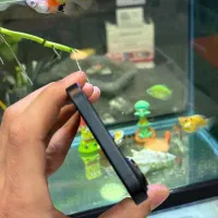 16 normal|موبایل|کرمانشاه, |دیوار