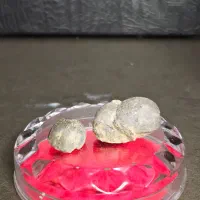 پنج عدد فسیل چند میلیون ساله|کلکسیون اشیاء عتیقه|دماوند, دماوند|دیوار