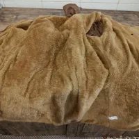 پالتو|لباس|صحنه, |دیوار