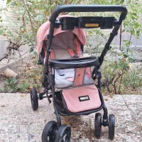 کالسکه دلیجان|کالسکه و لوازم جانبی|فولادشهر, B5|دیوار