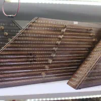 سنتور با مهرهای مختلف گالری موسیقی آرتیا