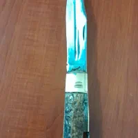 فروش چاقو شاخ