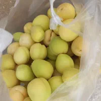 معاوض ویلاییوآپارتمان باضافه پول|فروش خانه و ویلا|زرندیه, |دیوار