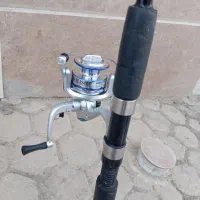 لنسر ماهیگیری