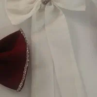 پاپیون سنجاق|بدلیجات|سلماس, |دیوار