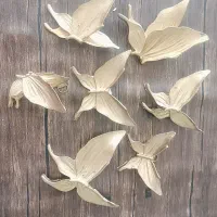 دکوراسیون و کلکسیون. سه تا جنس باهم 300