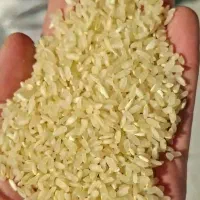 برنج کامفیروزی نو درجه یک|خوردنی و آشامیدنی|جهرم, |دیوار