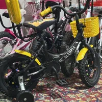 دوچرخه12 دارای کمکی پشتی سبد(خیابان کوثر16)