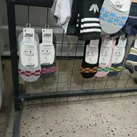 رگال پایه دارجوراب|فروشگاه و مغازه|تربت جام, شاد|دیوار