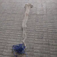 سالیک چشمه ریز