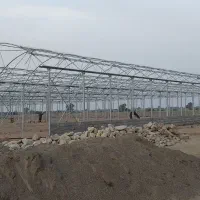 گلخانه نصب وتعویض پلاستیک  مشاوره|خدمات پیشه و مهارت|بندرعباس, |دیوار