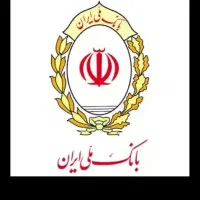 وام گیرنده وضمانت