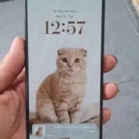 شیامی نوت دوازده درحد|موبایل|ورامین, ورامین|دیوار