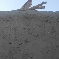 گرفتنی