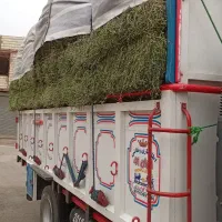 یونجه درجه ۱