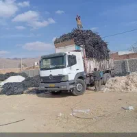 خرید تیپ ضایعاتی تحویل خنجشت۳۷تا۴۰تومان تسویه نقد|خدمات باغبانی و درختکاری|اقلید, |دیوار