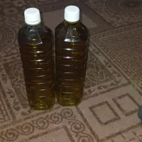 روغن زیتون ضمانتی و اصل|خوردنی و آشامیدنی|فاضل آباد, |دیوار