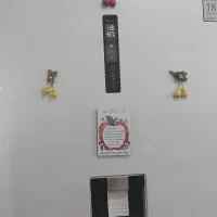 یخچال فریزر