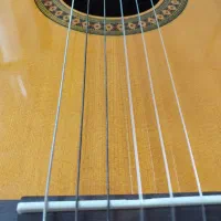 گیتار|گیتار، بیس، امپلیفایر|گنبد کاووس, |دیوار